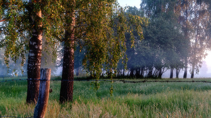 Mglisty poranek nad łąkami © podlaski49