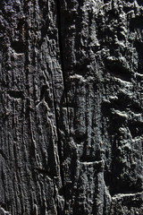 Fototapeta na wymiar black wood texture background