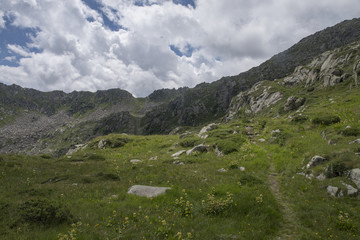 mountain landscape in the mountains