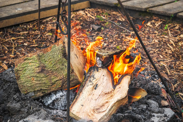 Campfire, burning wood at a campsite in England