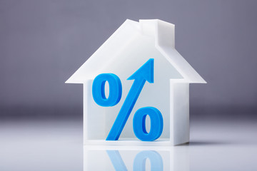 Percentage Symbol Inside House Model