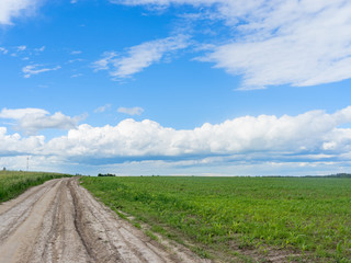Fototapeta na wymiar Vanishing dirt road through farm field 