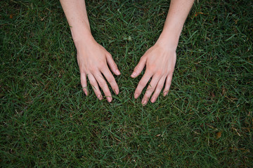 cropped image of woman touching green grass with hands in park