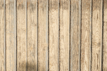 wood texture background