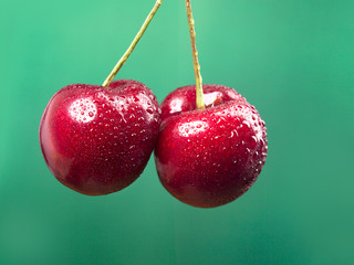 cerises bigarreau en gros plan isol&eacute; sur fond vert