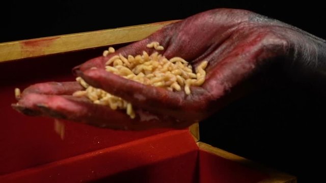 Woman touching maggots
