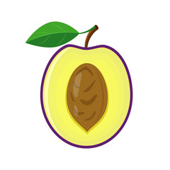 Colorful half plum with pip and  green leaf. Vector illustration