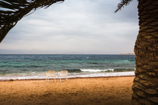 Fototapeta Palm trees with green grass and cloudy sky