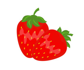 Colorful  red strawberry vector illustration isolated on white b
