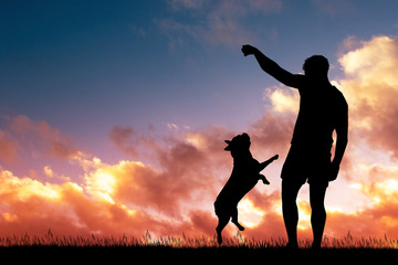 illustration of man with her dog at sunset