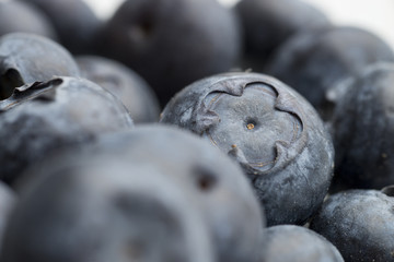 blueberries close up