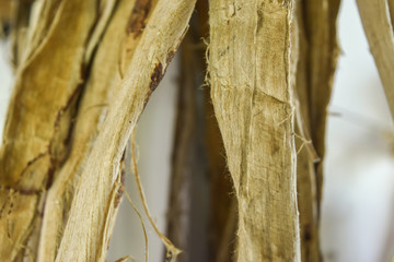 How to make The Local Umbella from wood and Mulberry paper in Chiang Mai Thailand