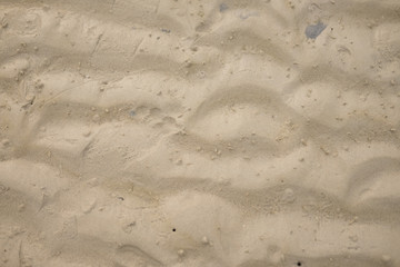 Fototapeta na wymiar Sunny beach sand closeup for background