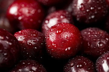 close-up shot of ripe red sweet cherries covered with water droplets