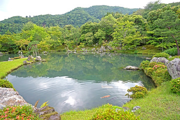 Green plants, mountain, fish, lake with reflection in Japan zen garden