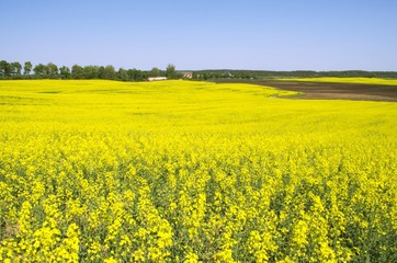 Fototapeta premium Mazury_2018