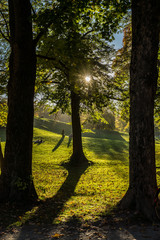 evening in the english garden