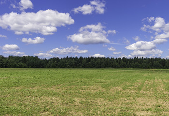 Rustic summer landscape. Fields and beautiful white clouds on a blue sky