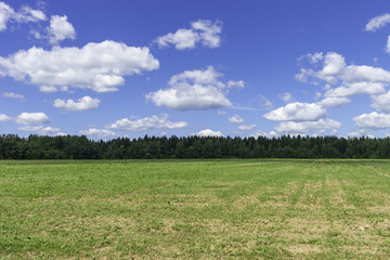 Rustic summer landscape. Fields and beautiful white clouds on a blue sky
