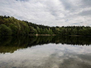 Fototapeta premium wald