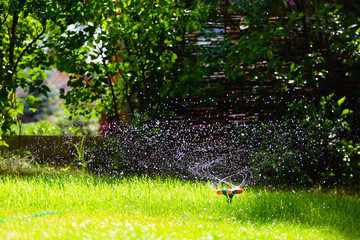 Garden sprinkler watering grass