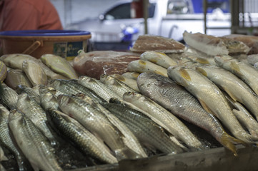 Fresh fishes at the local market _ non-processed version