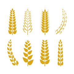 Vector Wheat Icons Set, Golden Wheat Ears Background, Logo Template.