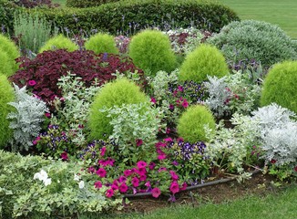 初夏のガーデン