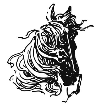 Horsehead - Equus #vector #isolated - Pferdekopf