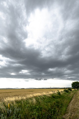 Dark sky above the green corn field