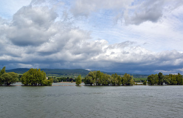 Fototapeta na wymiar Rheingau