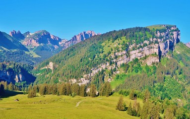 Fototapeta na wymiar Alp Sigel, Alpstein, Ostschweiz