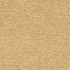Fototapeta na wymiar Brown craft paper with speckle seamless vector texture. Close-up of old cardboard or parchment background.