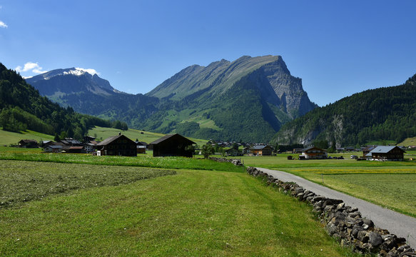 Au mit Kanisfluh im Bregenzerwald; Vorarlberg; Oesterreich