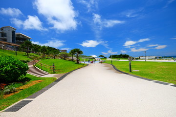 Beautiful sunny day blue sky and white cloud view with fresh green tree and grass travel in Japan Okinawa