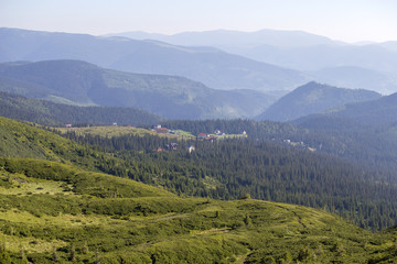 Naklejka premium Green fir trees and houses of the village against the background of the Carpathian mountains in summer. Dragobrat, Ukraine