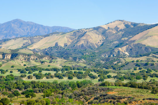 View Of Hillside in a Northern California. The sun painted the round shaped trees with amazing beautiful lighted edges in this green landscape.