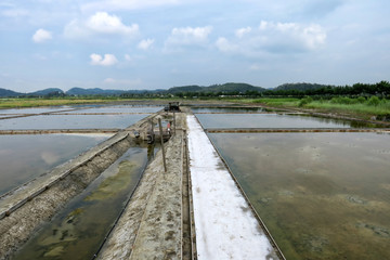 sea salt farm in eastern
