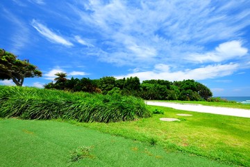 Beautiful sunny day blue sky and white cloud view with tree and grass in Japan Okinawa