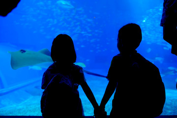 Silhouette of two cute child holding hand