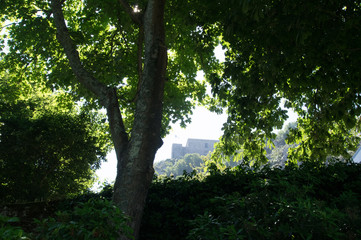 Fototapeta premium jardin de cherbourg