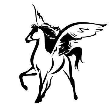 winged horse design - black and white pegasus vector outline