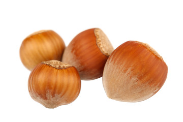 Hazelnut on a isolated on white background
