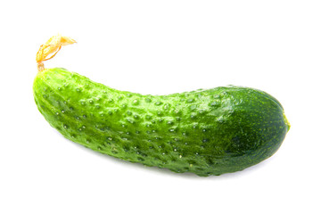 Green cucumber with yellow flower isolated on white. Closeup