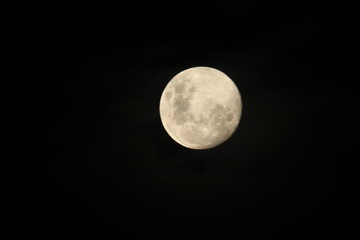 Obraz premium Moon beauty 