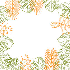 Vector background with  hand drawn tropical plants. Leaves and flowers.