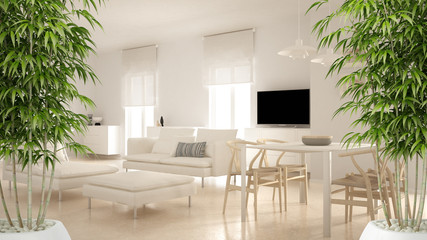 Zen interior with potted bamboo plant, natural interior design concept, modern contemporary living room open space with dining table and corner office, minimalist architecture
