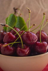 Close-up of a bowl full of ripe and red cherries with petioles