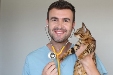 Handsome vet holding a cute bengal cat