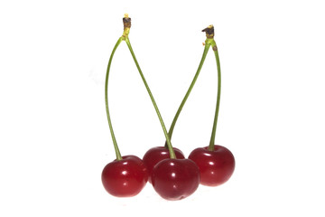 cherry isolated on white background